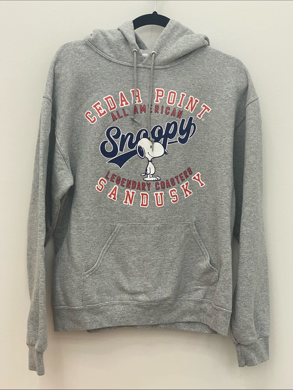 Snoopy Cedar Point Sandusky Gray Hoodie Sweatshirt (BIN AA)